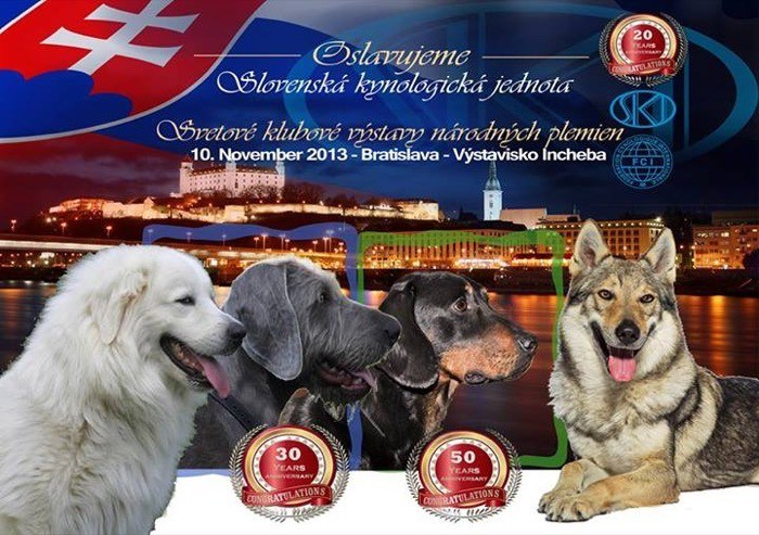 národné plemená psov slovenska