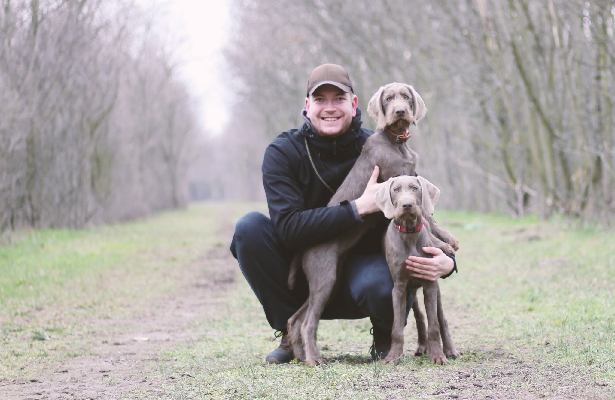 is a slovakian wirehaired pointer a good family dog