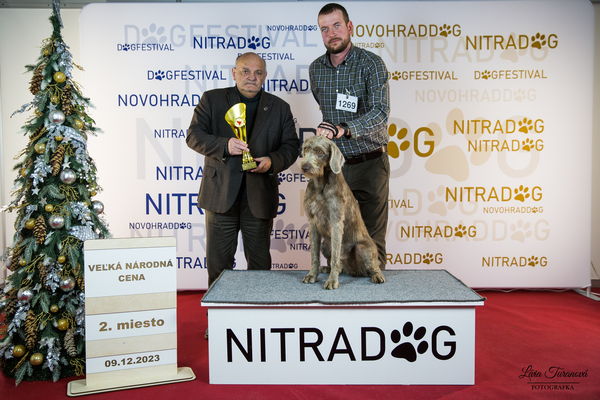 EYWA-Danibull-dog-show-Slovakian-rough-haired-pointer3-1