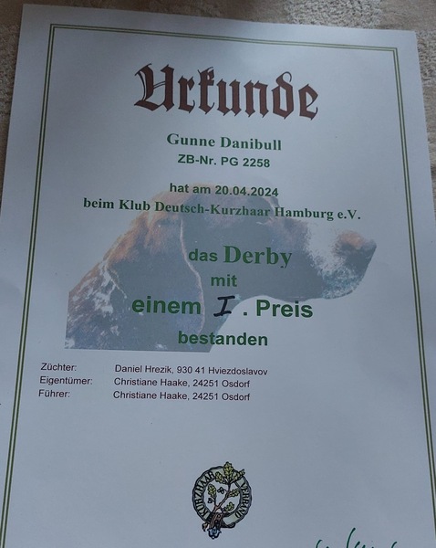 GUNNE-Danibull1