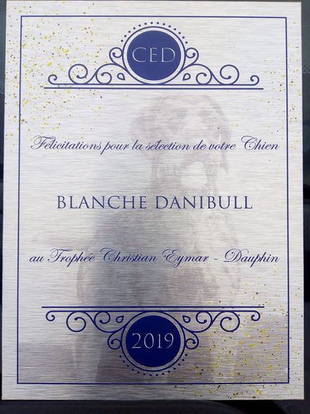 blanche-danibull-france