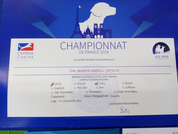 championnat-de-france-2019-pointer-winnner