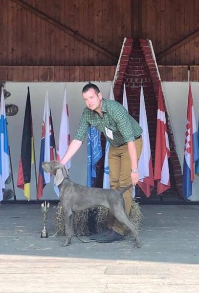 dogfestival-veľká-ida-cacib-výstava-psov-národné-plemená-(3)