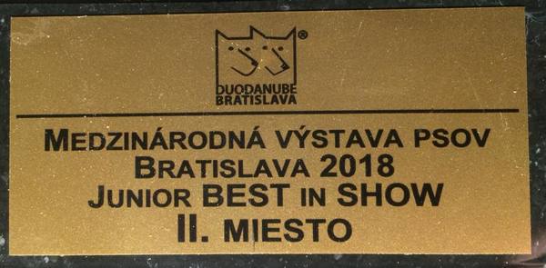 medzinároná-cacib-výstava-bratislava-(1)