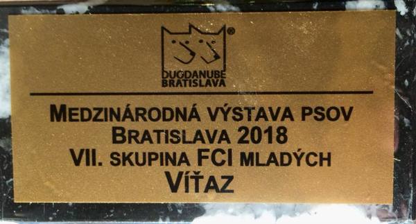 medzinároná-cacib-výstava-bratislava-(2)