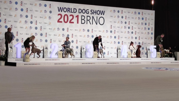 world-dog-show-final-winner